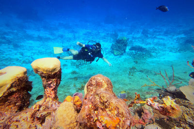 Scuba diver near reef at Cozumel